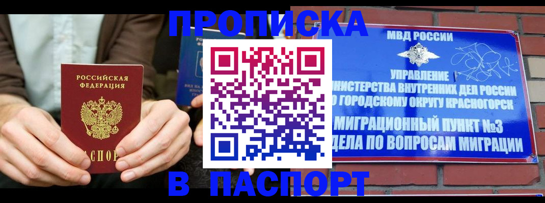 где прописаться в Кольчугино
